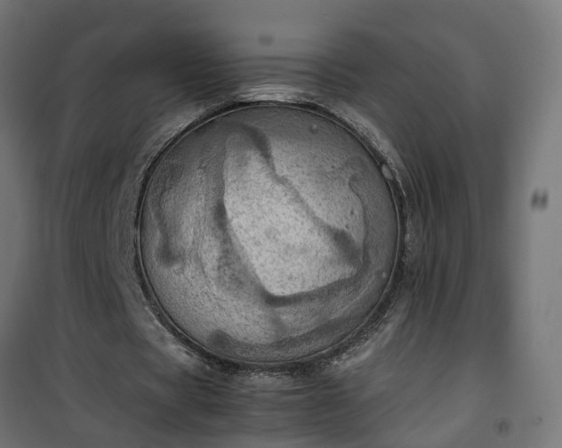 X0000100480529200806201632