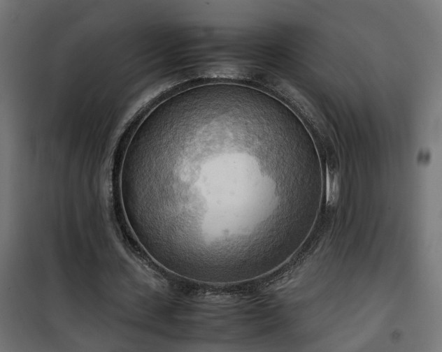X0000100480531200806201632