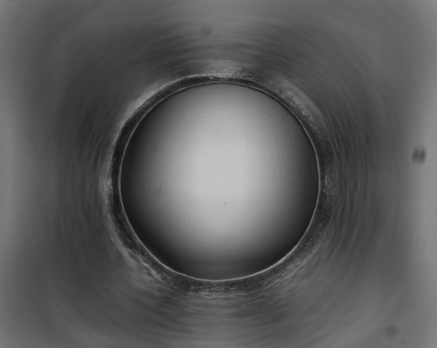 X0000100480532200806201632