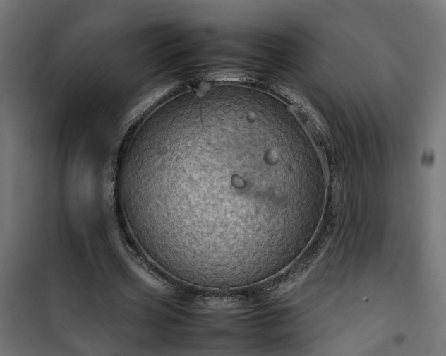 X0000100480533200806201632