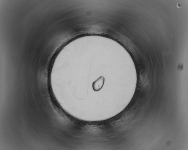 X0000100480534200806201632