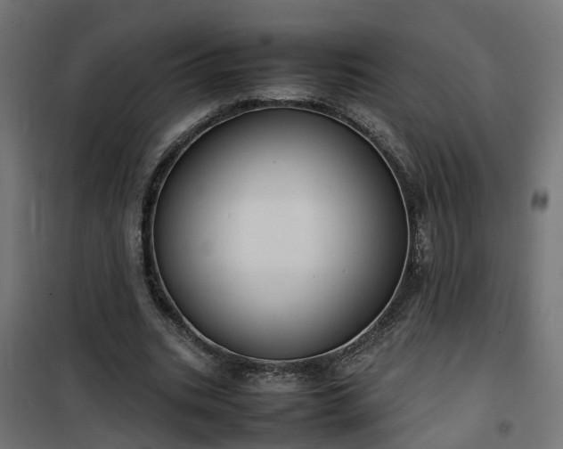 X0000100480535200806201632