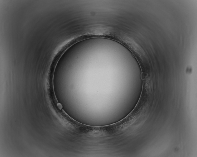 X0000100480536200806201632