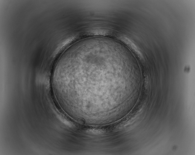 X0000100480537200806201632