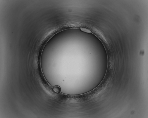 X0000100480538200806201632