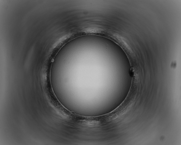 X0000100480539200806201632