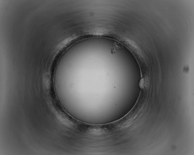 X0000100480540200806201632