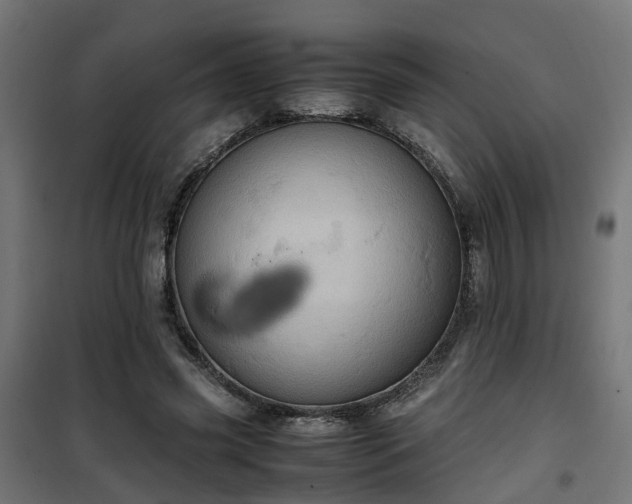 X0000100480541200806201632