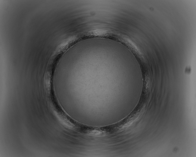 X0000100480542200806201632