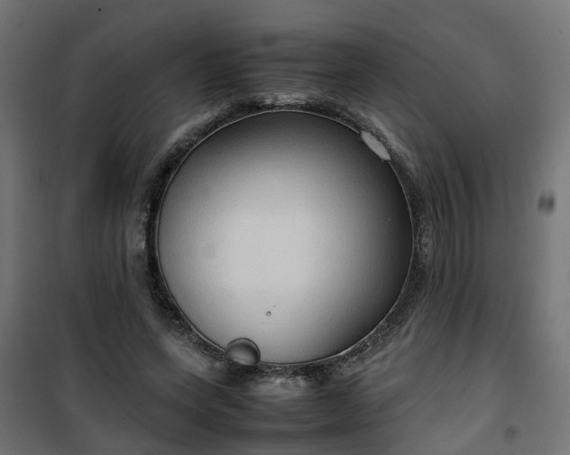 X0000100480543200806201632