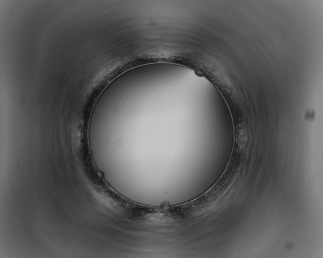 X0000100480544200806201632