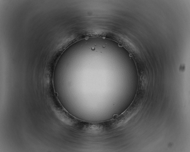 X0000100480546200806201632
