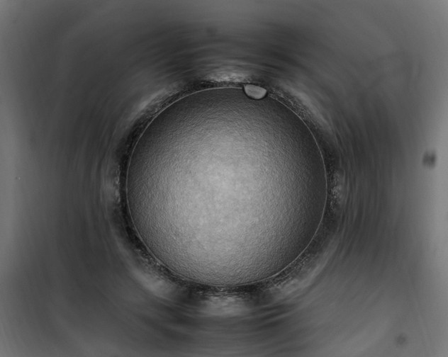 X0000100480547200806201632