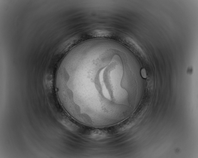 X0000100480549200806201632