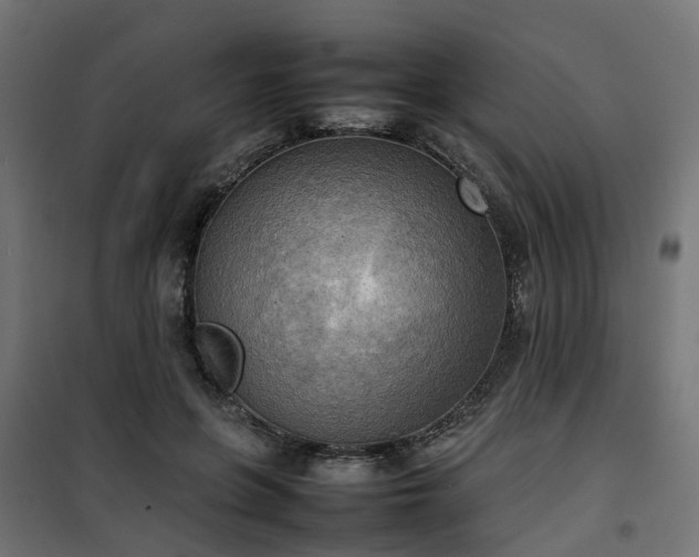 X0000100480551200806201632