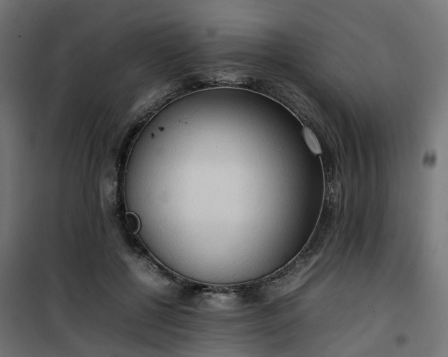 X0000100480552200806201632
