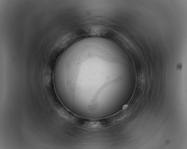 X0000100480554200806201632