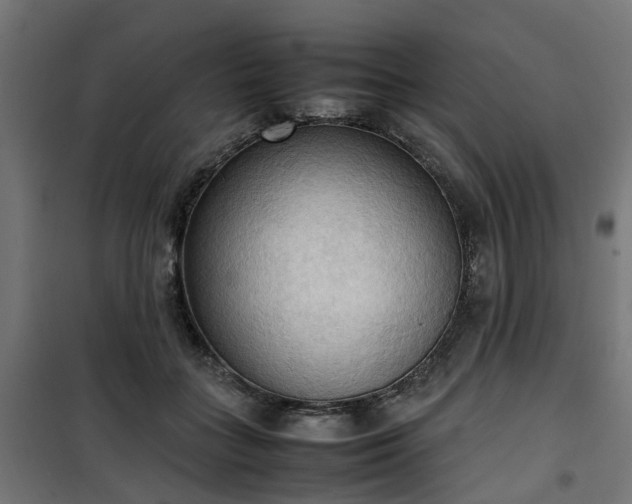 X0000100480555200806201632