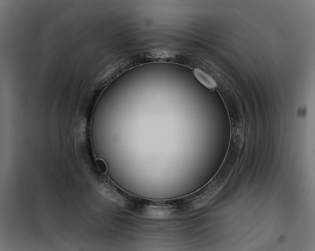 X0000100480556200806201632
