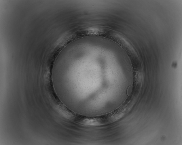 X0000100480557200806201632
