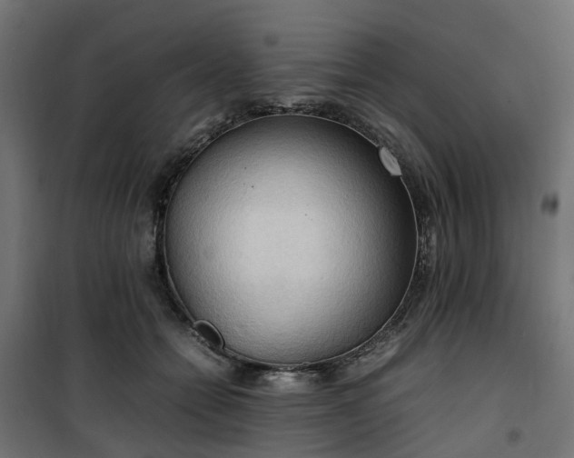 X0000100480558200806201632