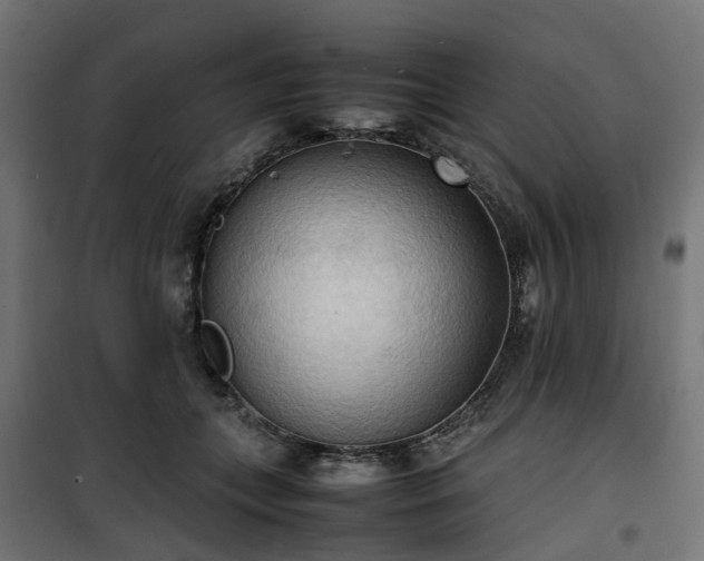 X0000100480559200806201632