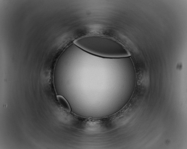 X0000100480560200806201632