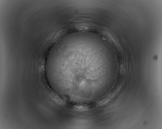 X0000100480561200806201632