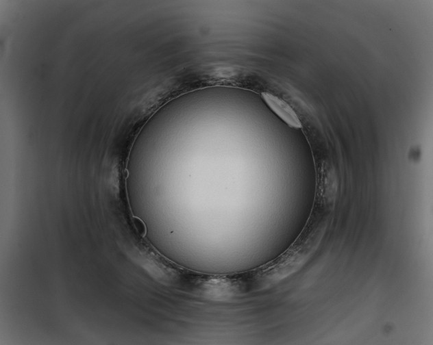 X0000100480562200806201632
