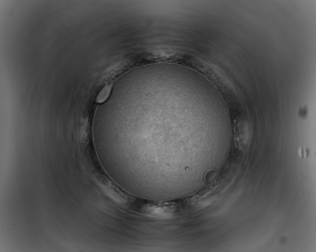 X0000100480563200806201632