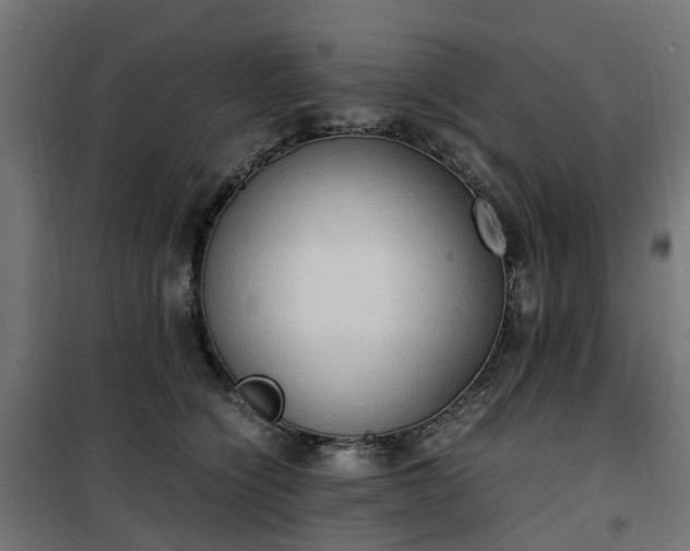 X0000100480564200806201632