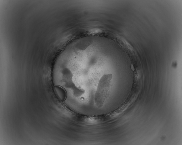 X0000100480565200806201632
