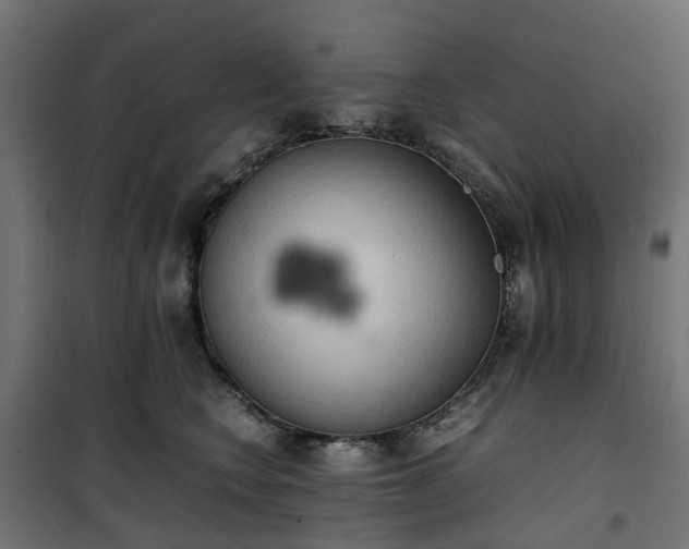 X0000100480566200806201632