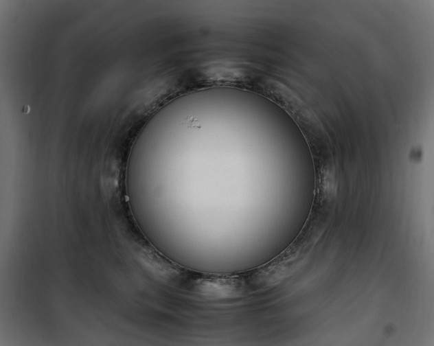 X0000100480567200806201632
