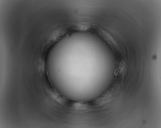 X0000100480568200806201632