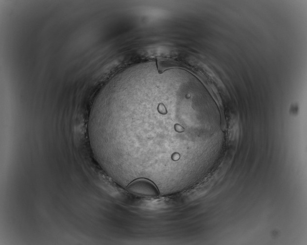 X0000100480569200806201632