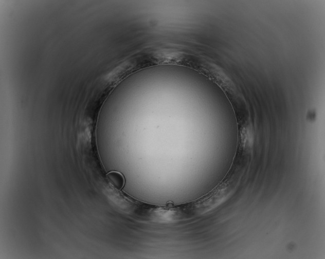 X0000100480570200806201632