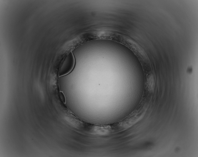 X0000100480571200806201632