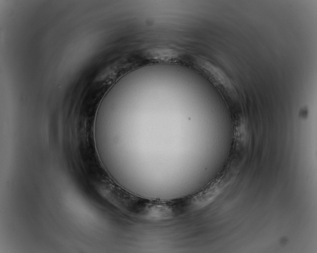 X0000100480572200806201632