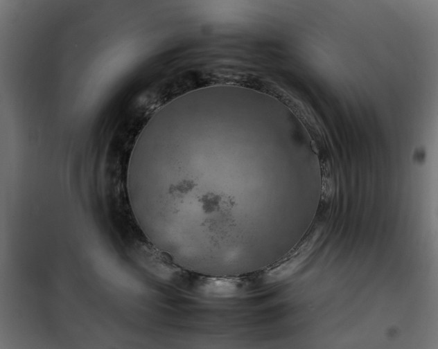 X0000100480573200806201632