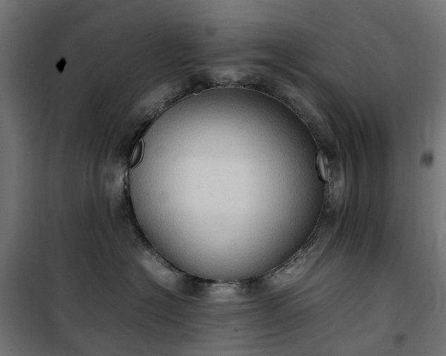 X0000100480574200806201632