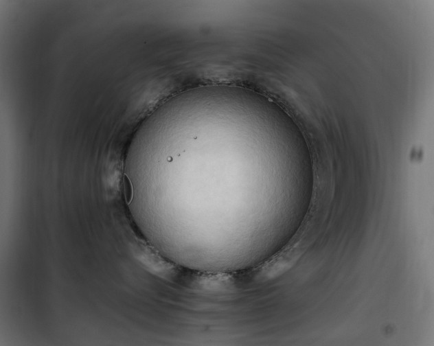 X0000100480576200806201632