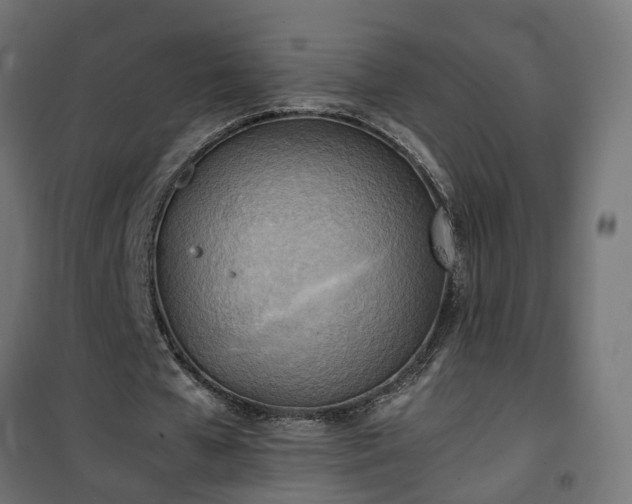 X0000100480577200806201632