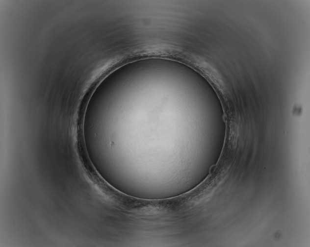 X0000100480578200806201632