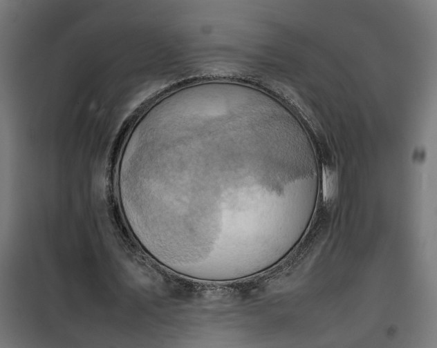 X0000100480579200806201632