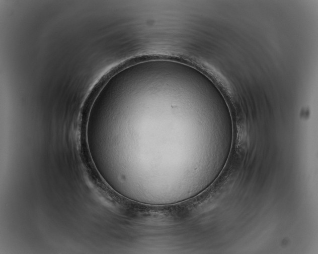 X0000100480580200806201632