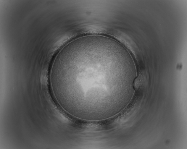 X0000100480581200806201632