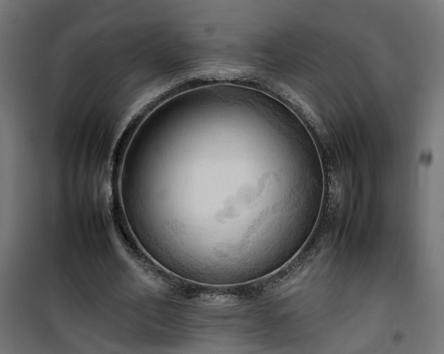 X0000100480582200806201632