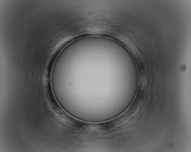X0000100480583200806201631