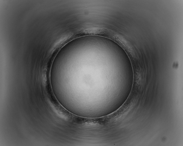 X0000100480586200806201631